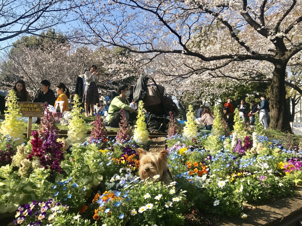 西郷山公園