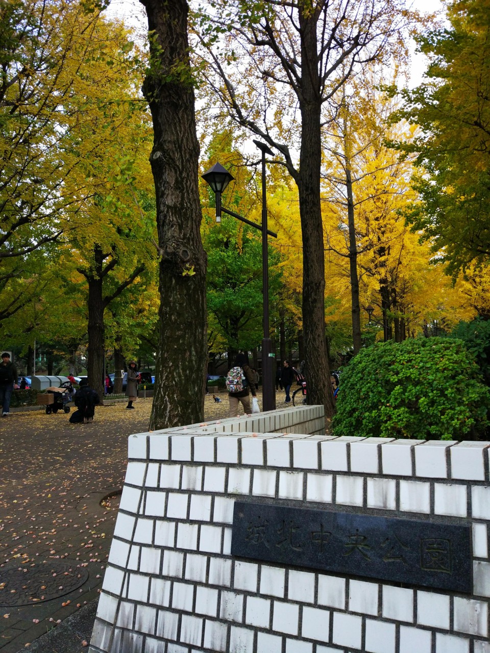 城北中央公園ドッグラン