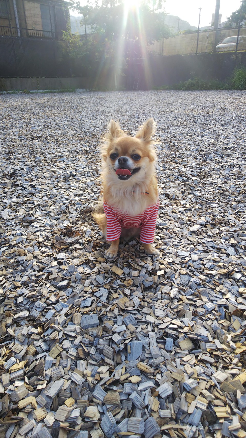 コレドール湯河原
