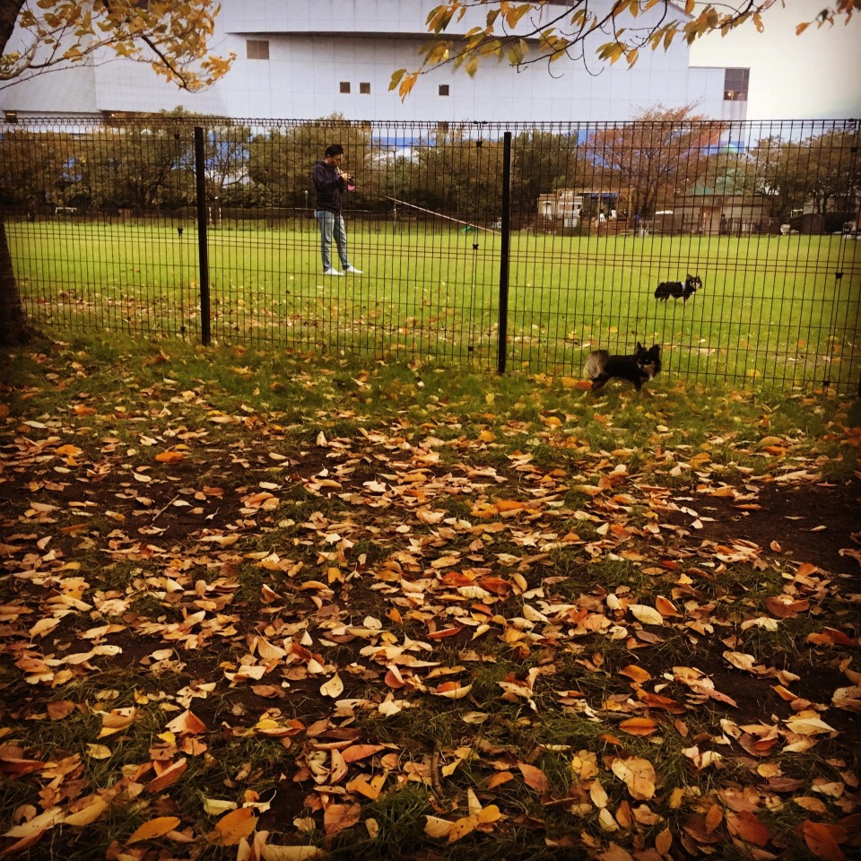 イーノの森 DogGarden