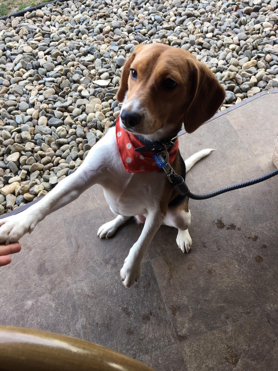 ベーカリーペニーレインつくば店