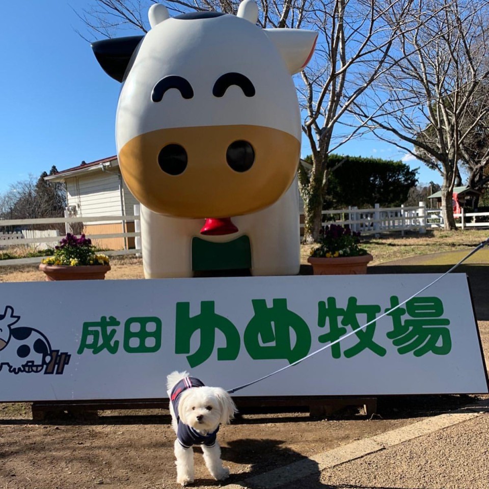 成田ゆめ牧場 ファミリーオートキャンプ場