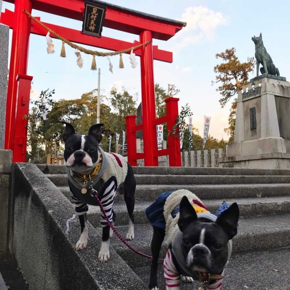 見付天神 矢奈比賣神社 （やなひめじんじゃ）