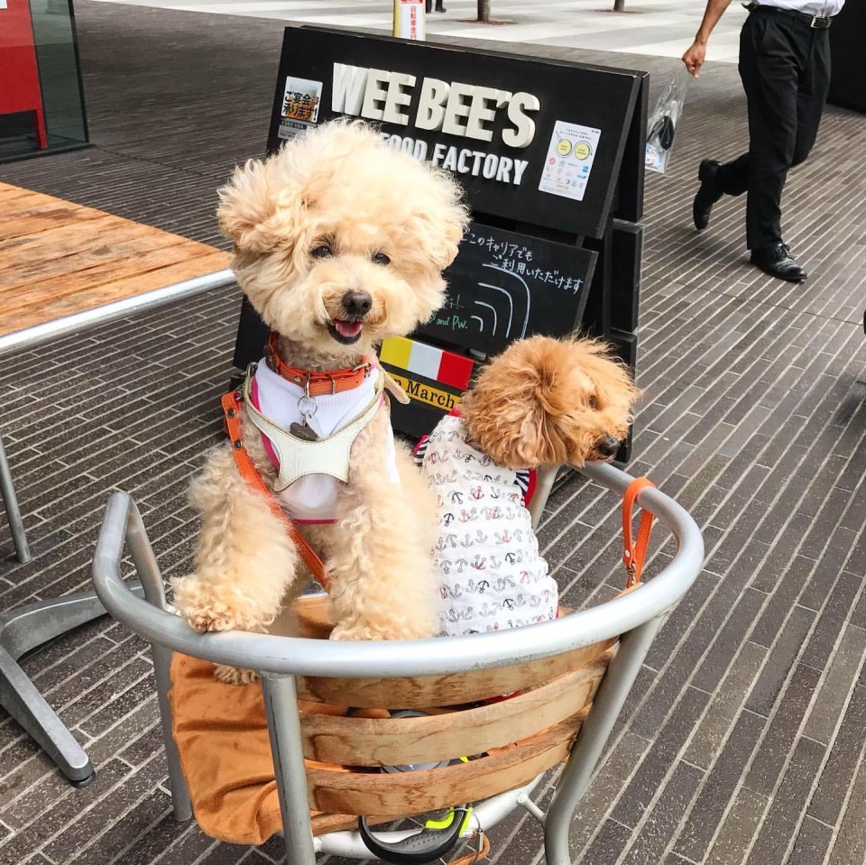 WEE BEE'S （ウィービーズ）