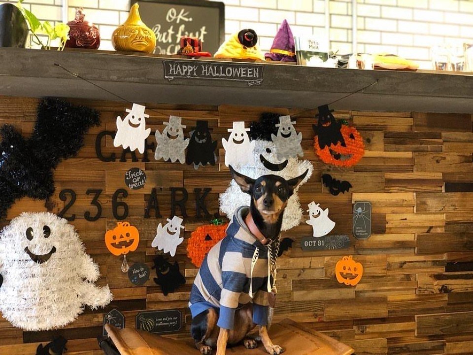 カフェ 236 アーク. （Cafe 236 Ark.）