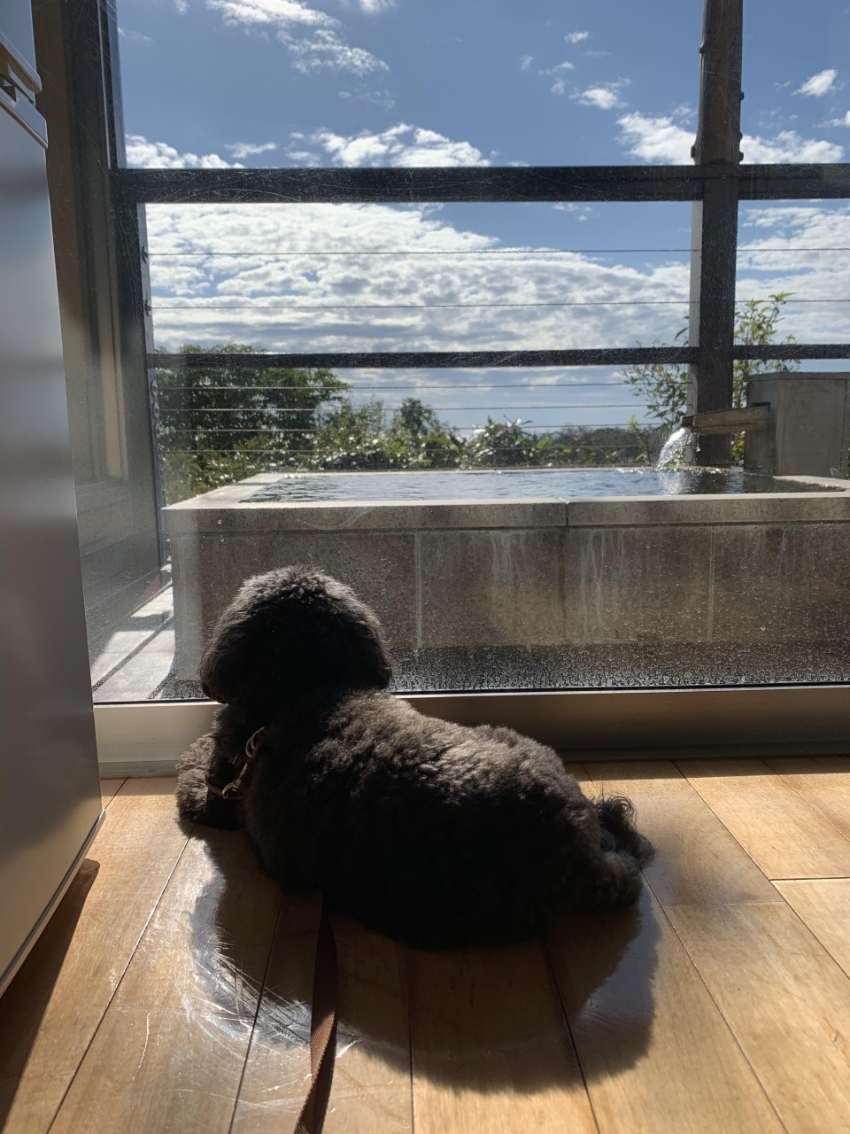 レジーナリゾート伊豆無鄰