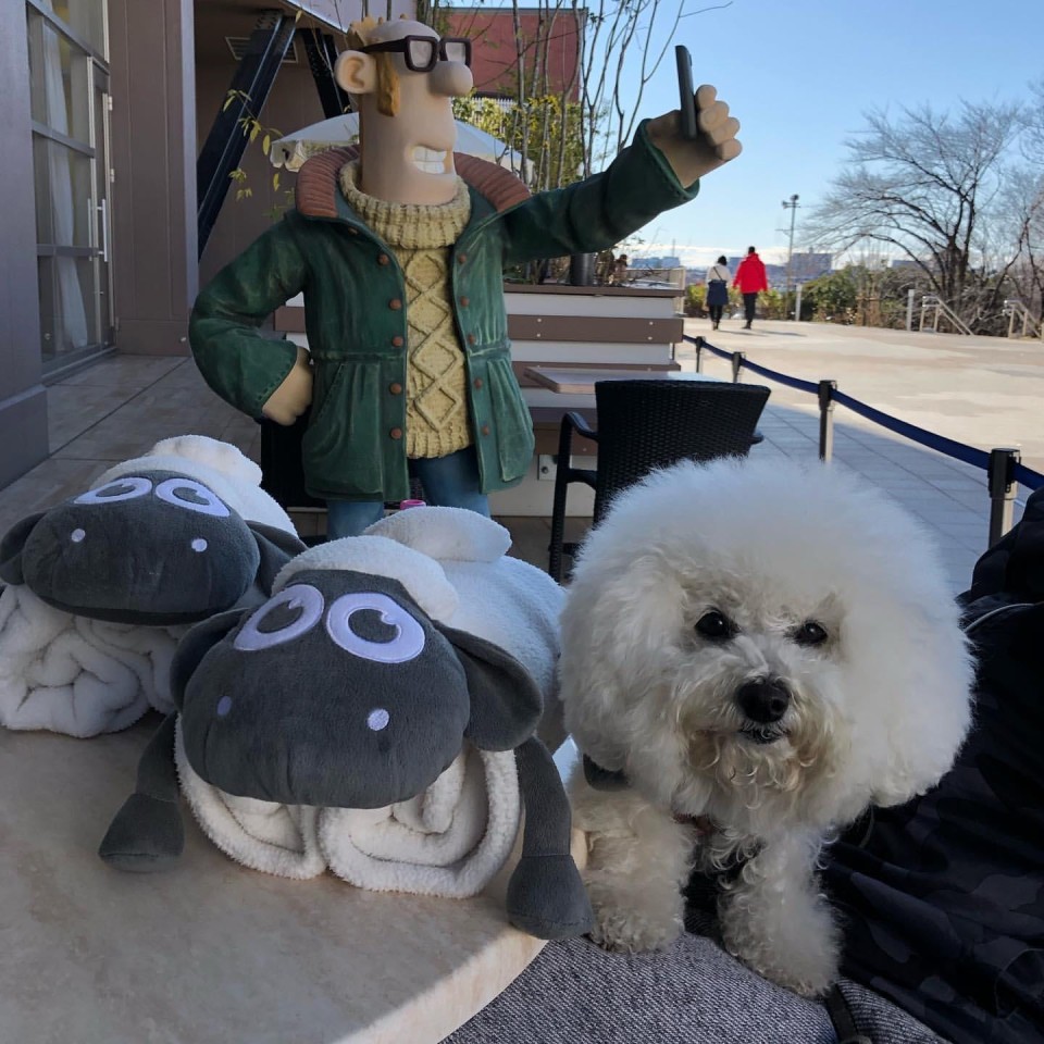 ひつじのショーンビレッジ ショップ&カフェ