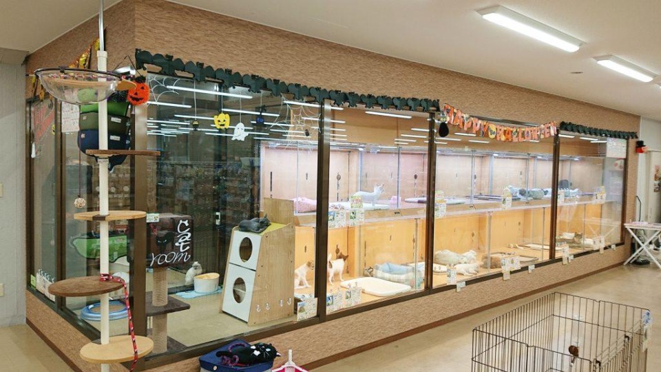 ペットランドピースワン　城北店