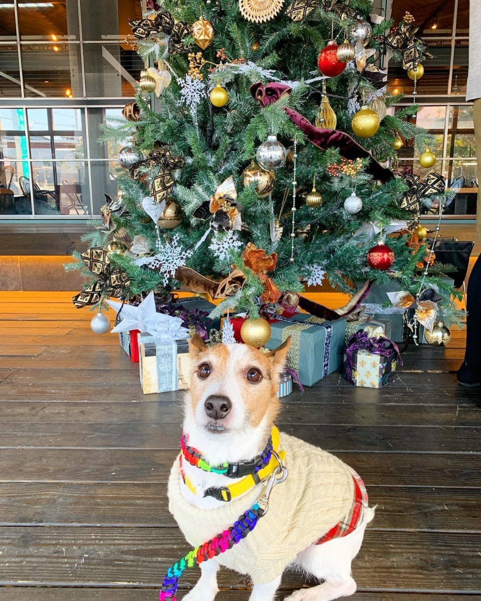 Farmers Kitchen THE gram