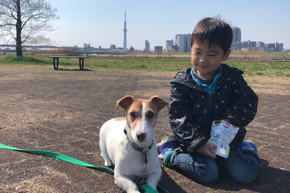 荒川河川敷（堀切〜小菅周辺）