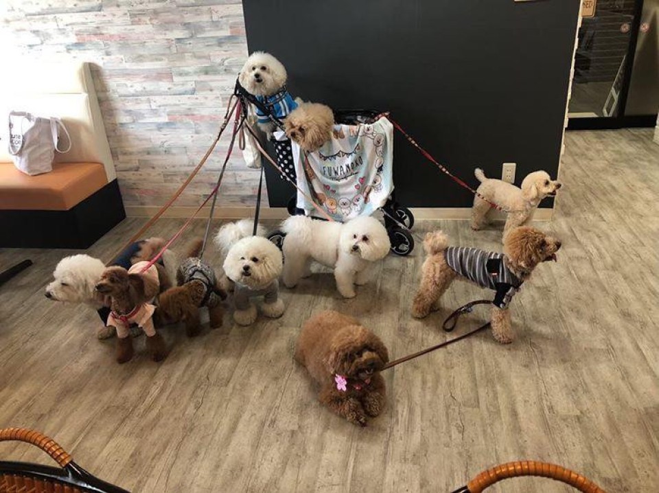 chou2clair（シュシュクレール）