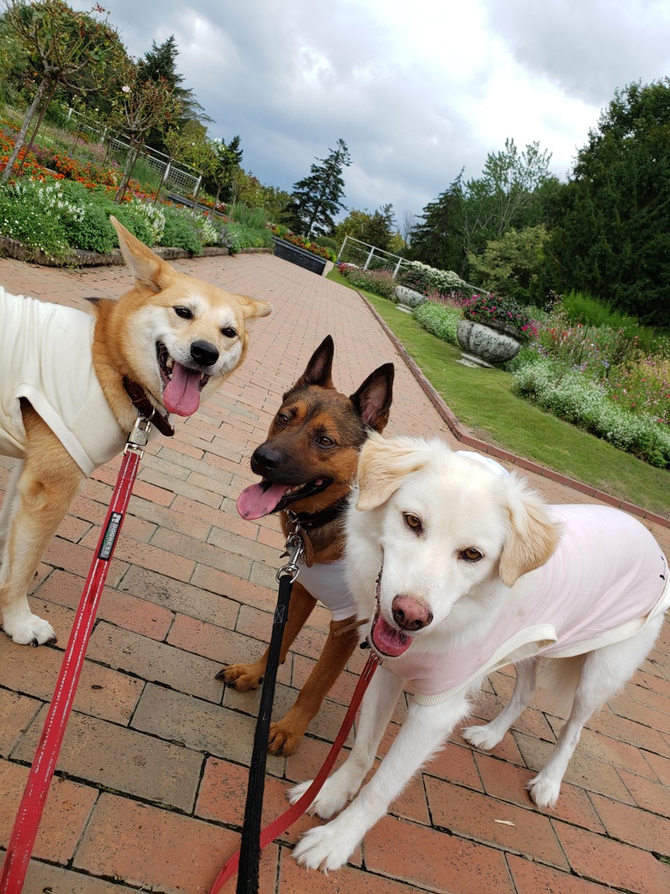 壬生わんぱく公園