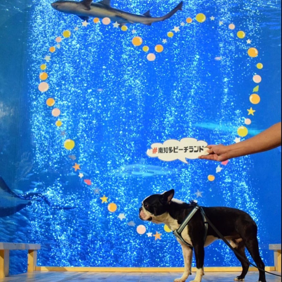 南知多ビーチランド