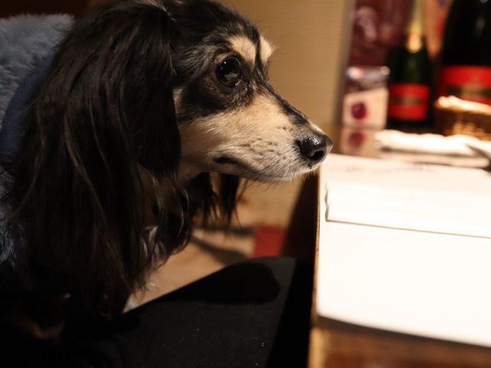 【閉店】La Vigne （ラ・ヴィーニュ）