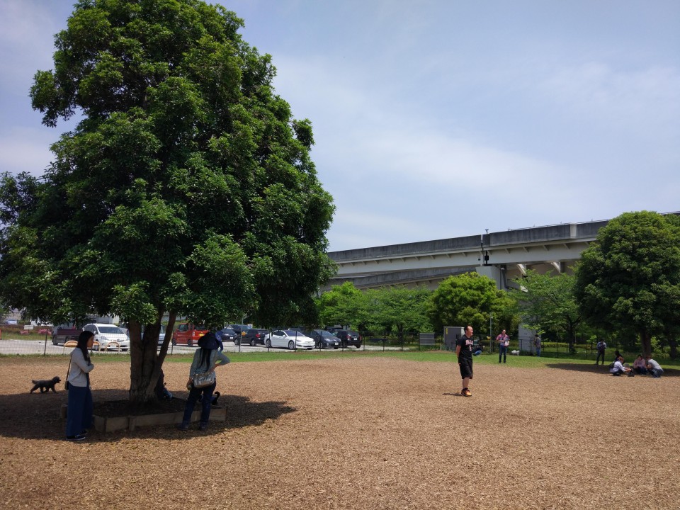 舎人公園ドッグラン