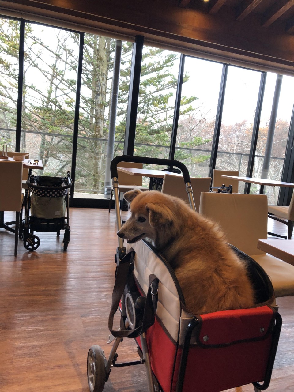 レジーナリゾート軽井沢御影用水