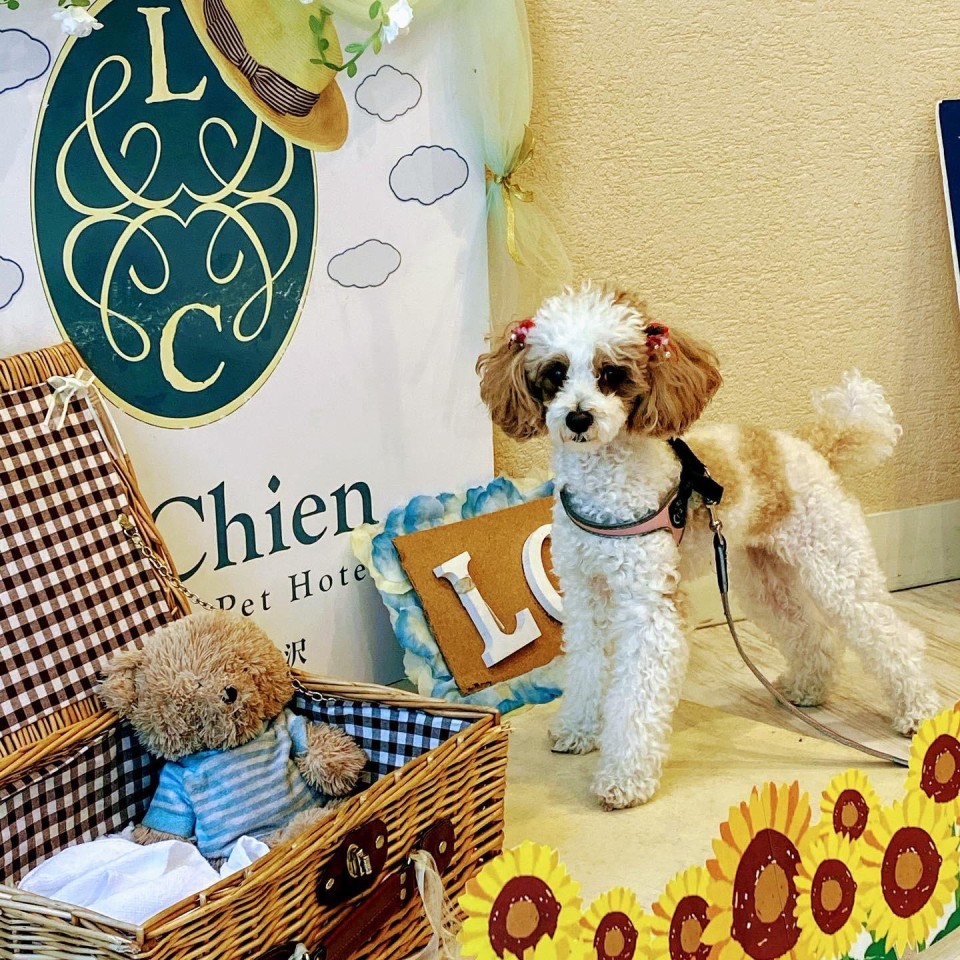 ルシアン旧軽井沢