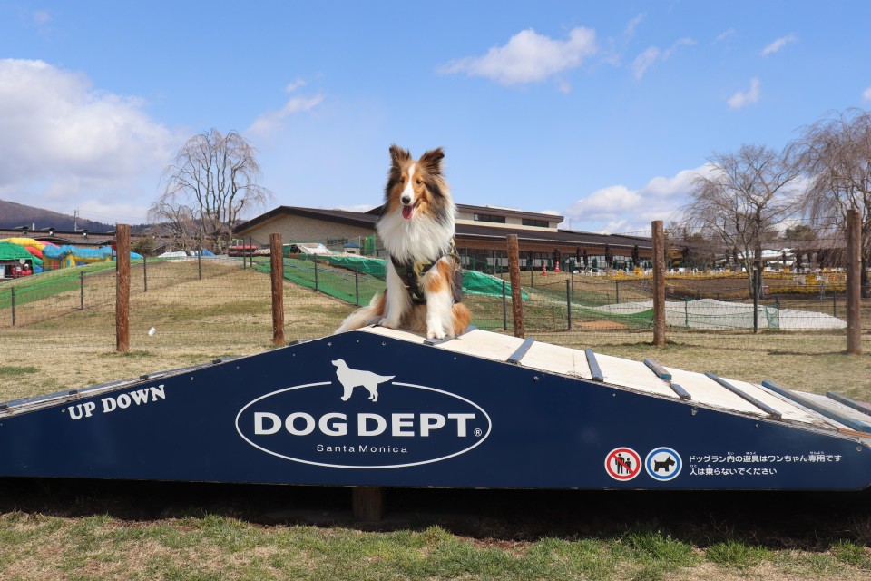 軽井沢プリンスショッピングプラザ