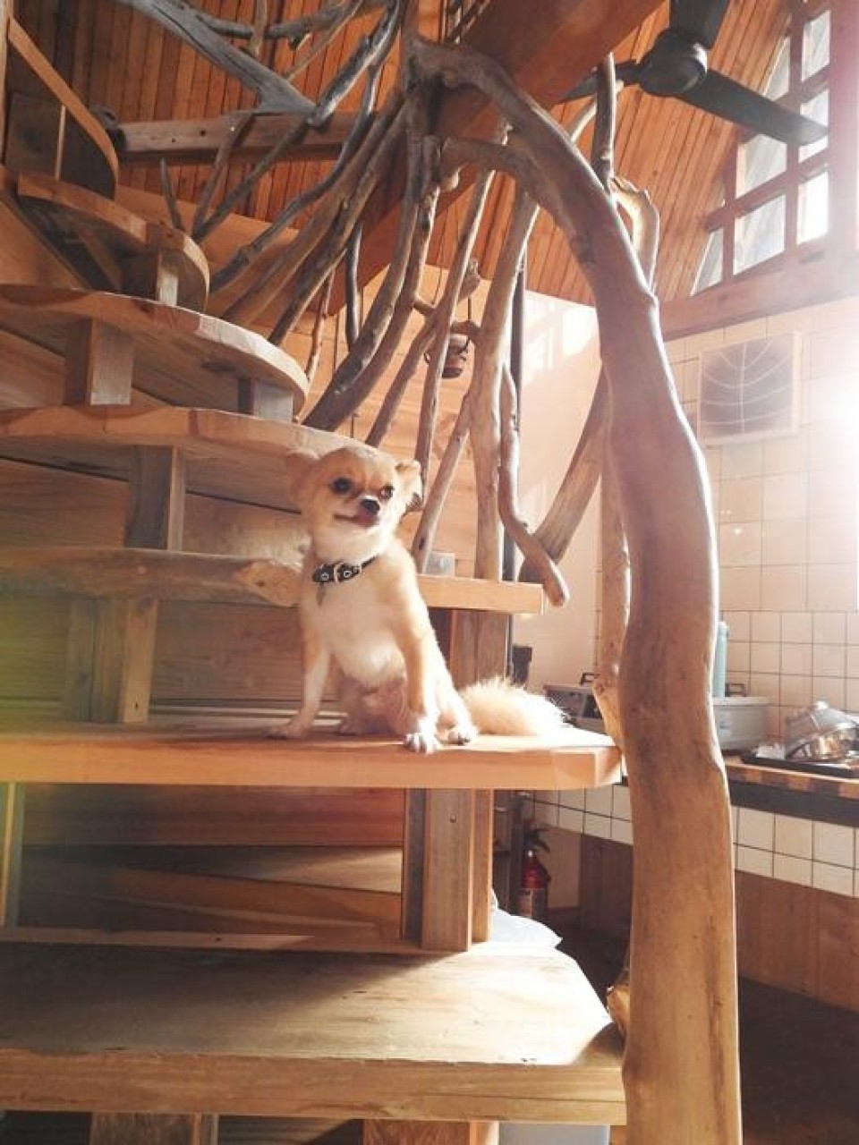 農家民宿さんぜん