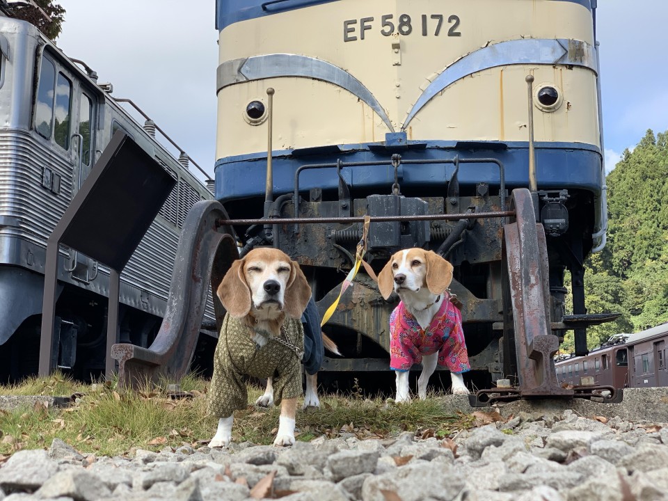 碓氷峠鉄道文化むら