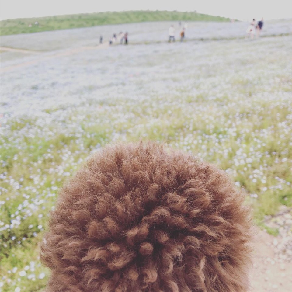 国営ひたち海浜公園