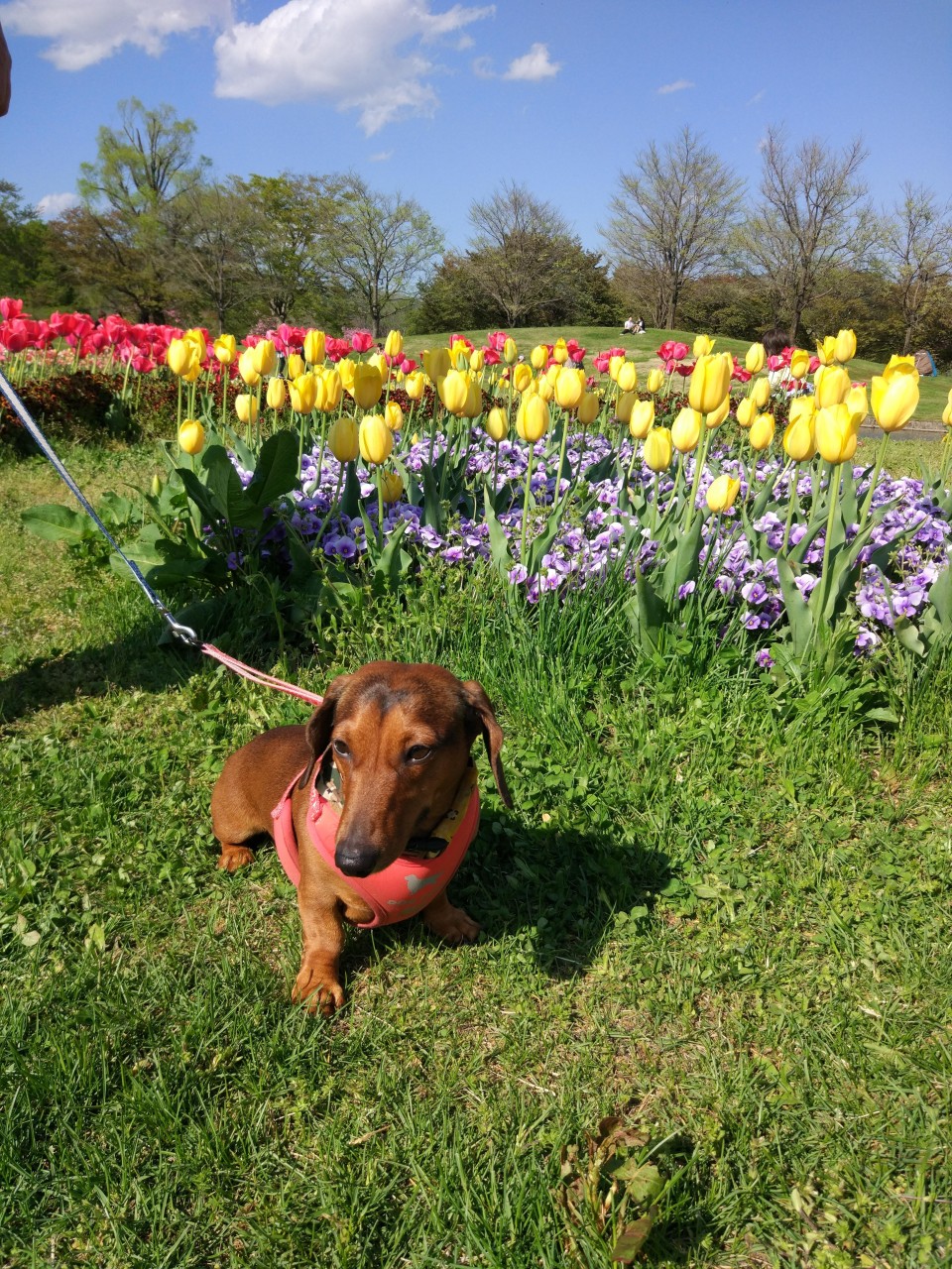 国営みちのく杜の湖畔公園