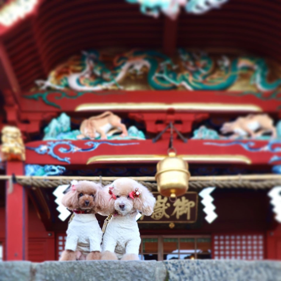 武蔵御嶽神社 （むさしみたけじんじゃ）