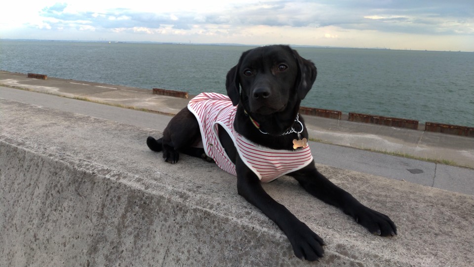 浦安市運動公園