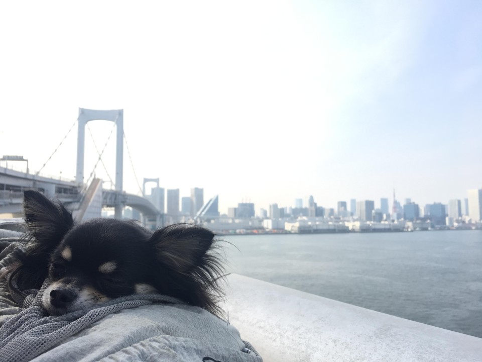 レインボーブリッジ遊歩道　芝浦側入口