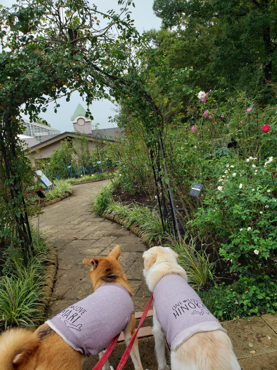 とちぎ花センター