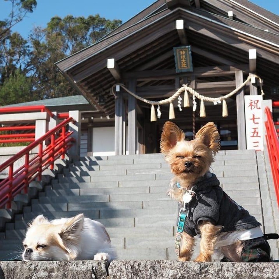 神祇大社