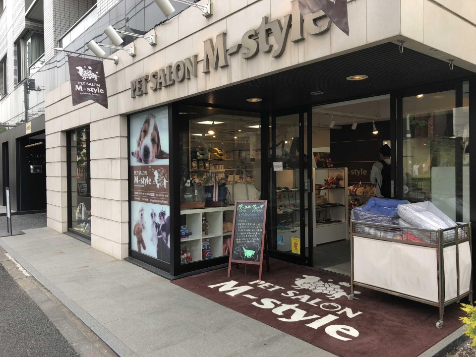 pet salon M style