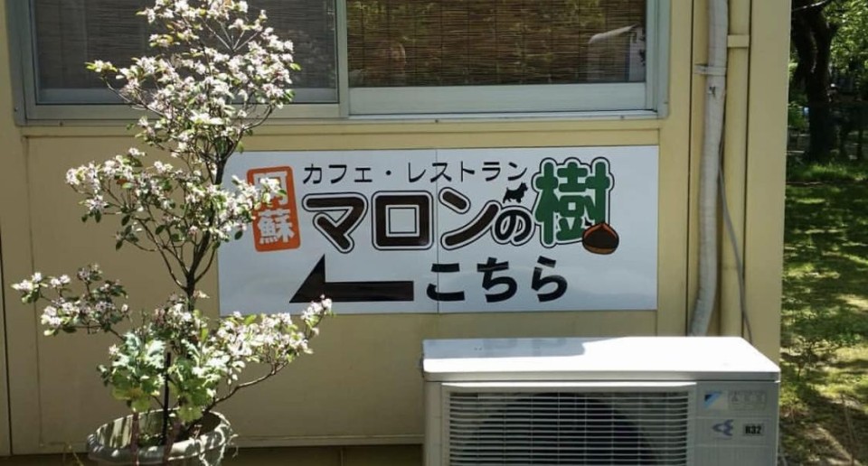 阿蘇 マロンの樹