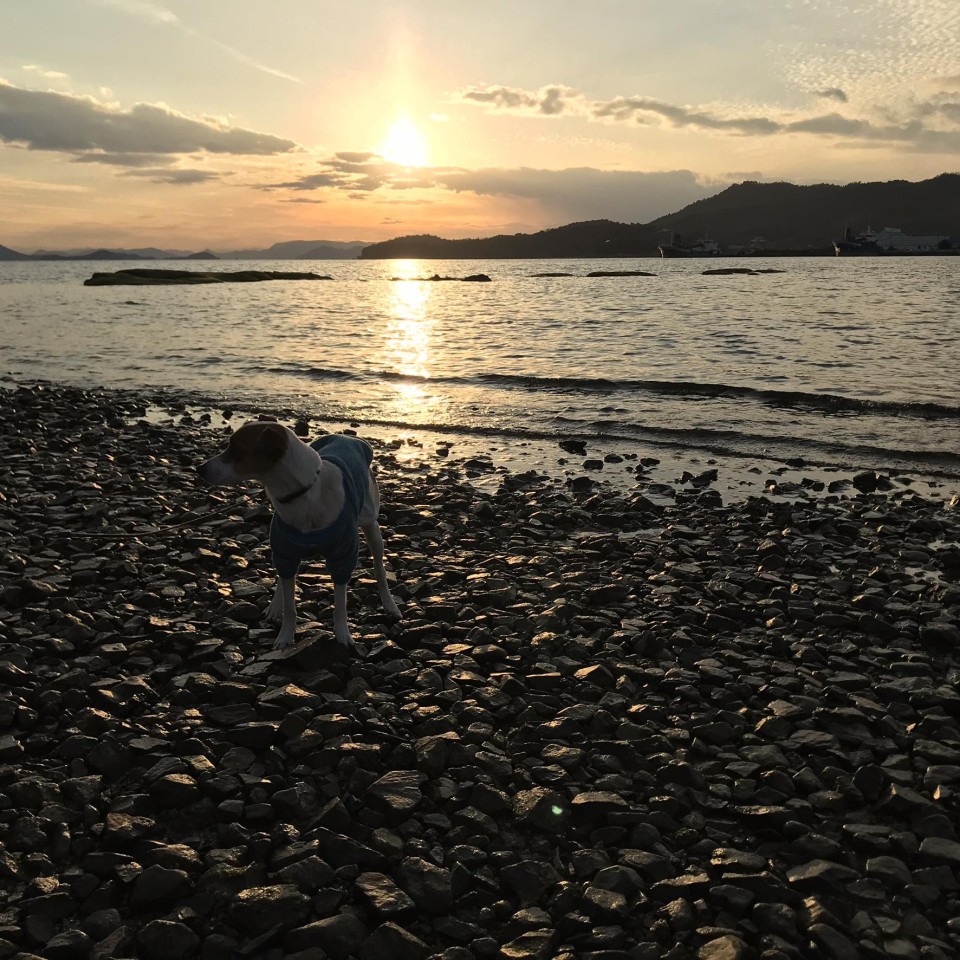 エンジェルロード