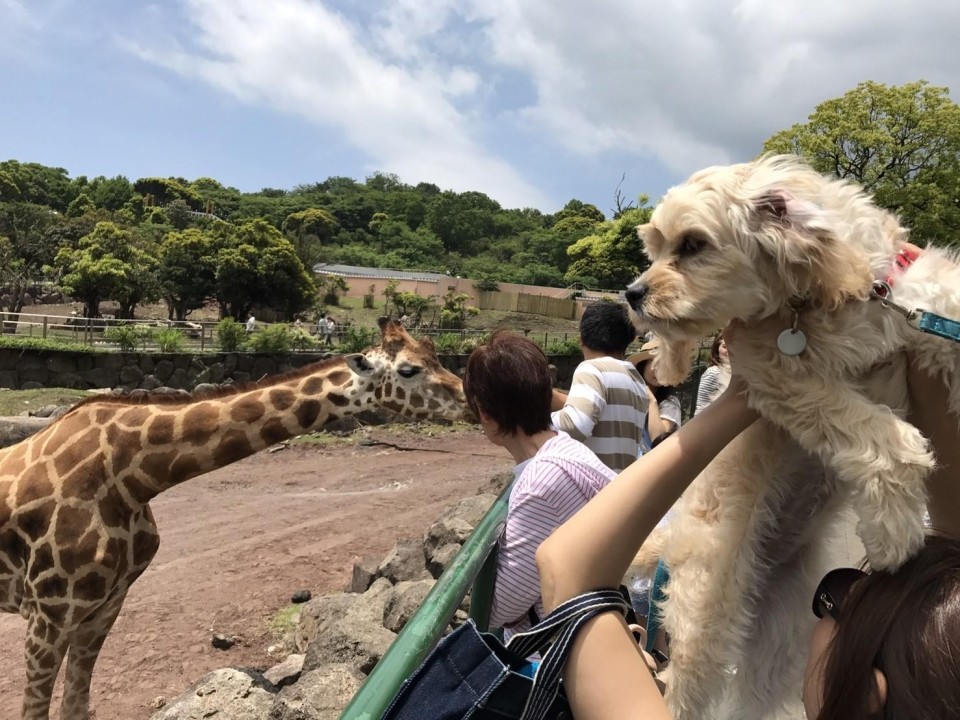 伊豆アニマルキングダム