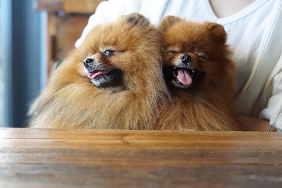 ダブルドアーズ 七里ヶ浜店