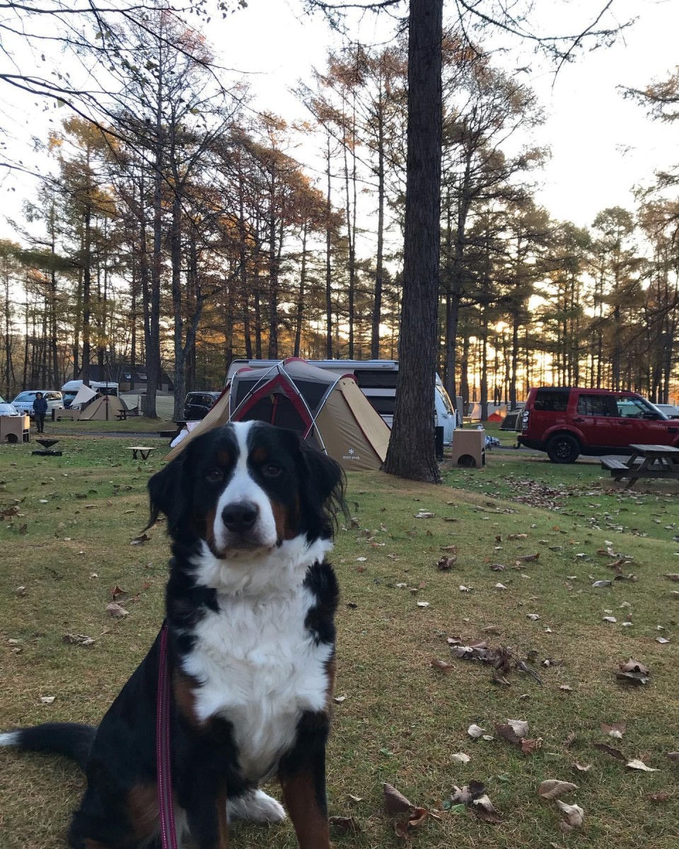 オートリゾート 苫小牧アルテン