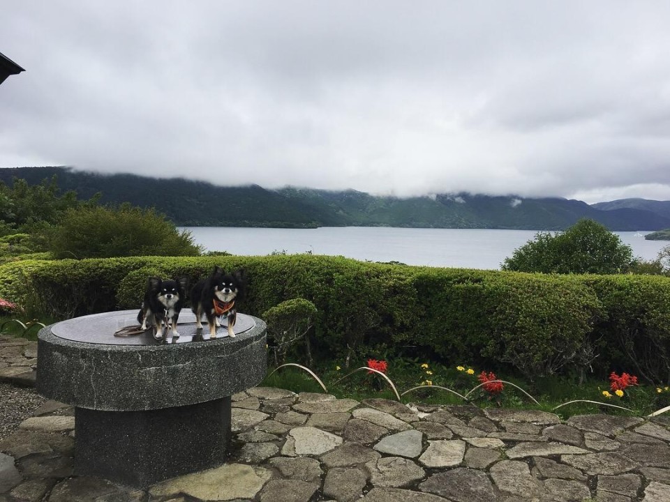神奈川県立 恩賜箱根公園