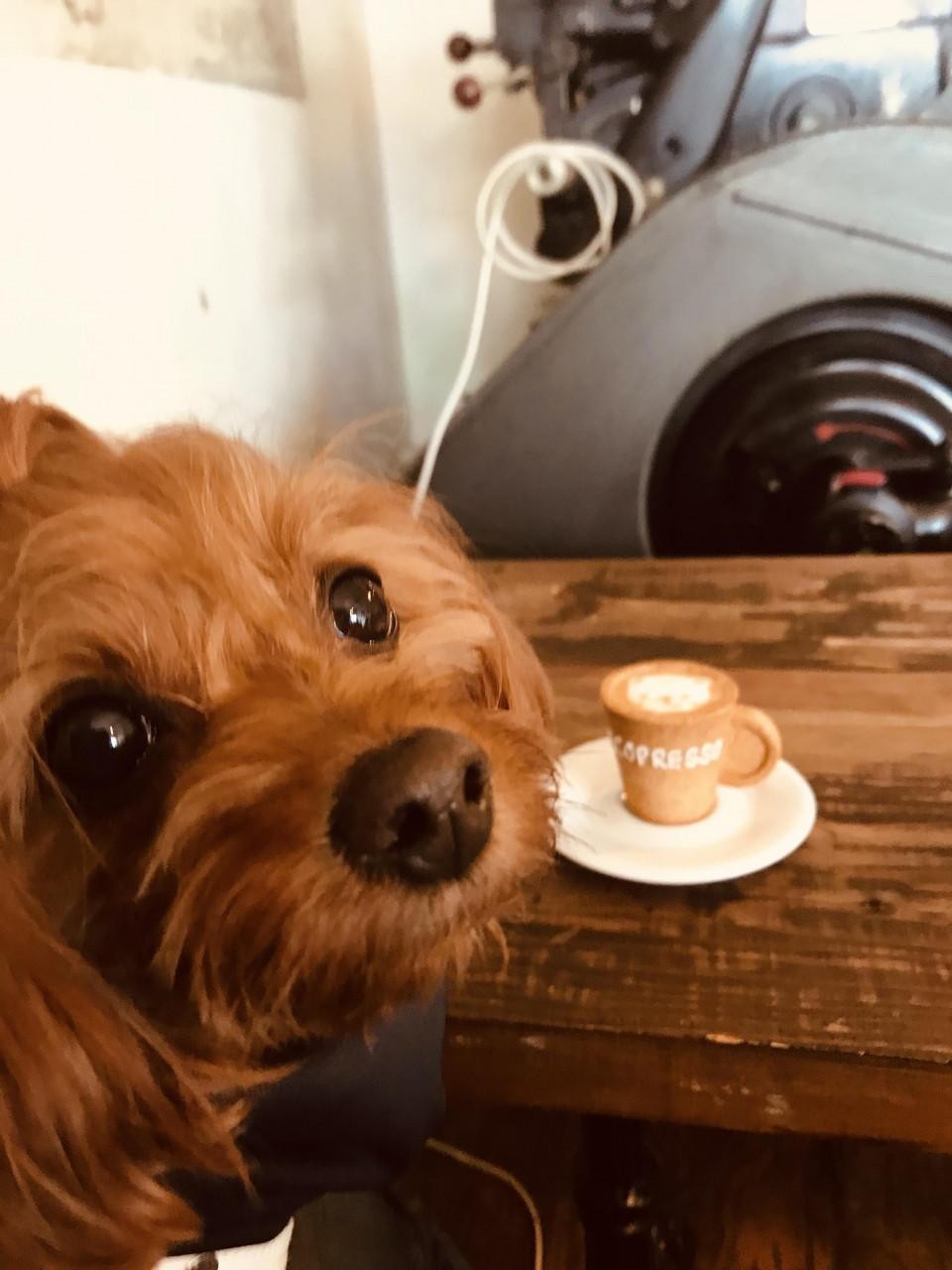 R・J CAFE （アールジェイカフェ）