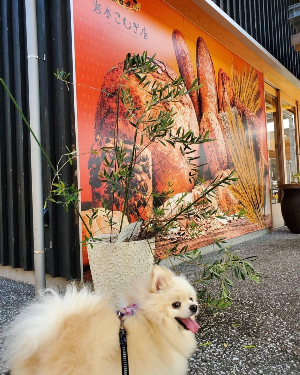 道の駅なかとさ ドッグラン