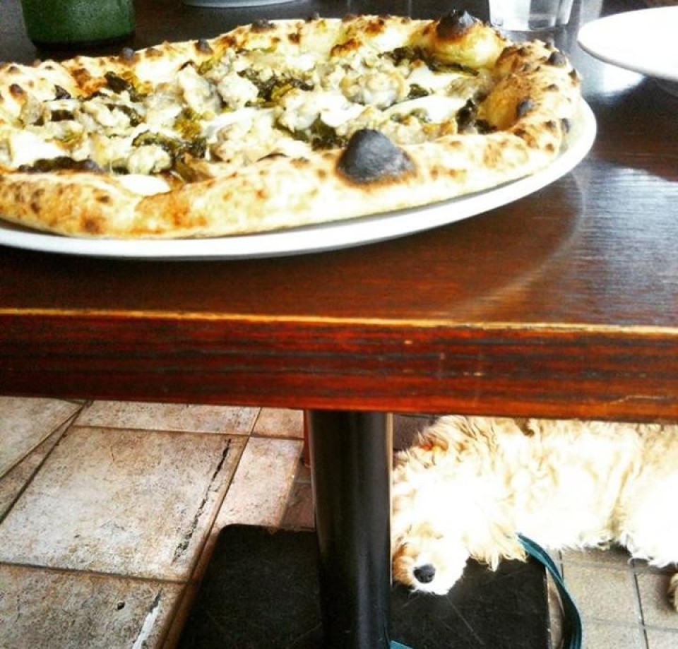 トラットリア ピッツェリア アミーチ