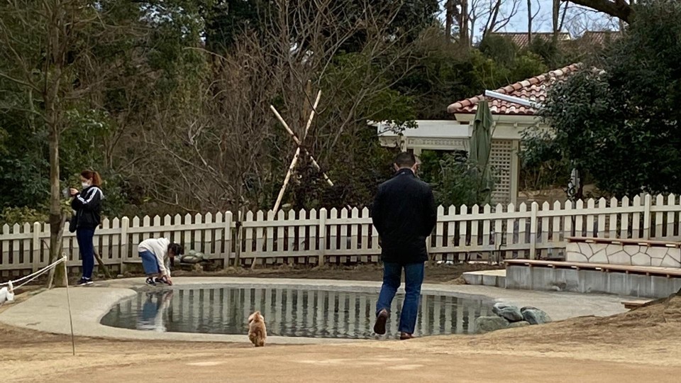 ドギーズアイランド