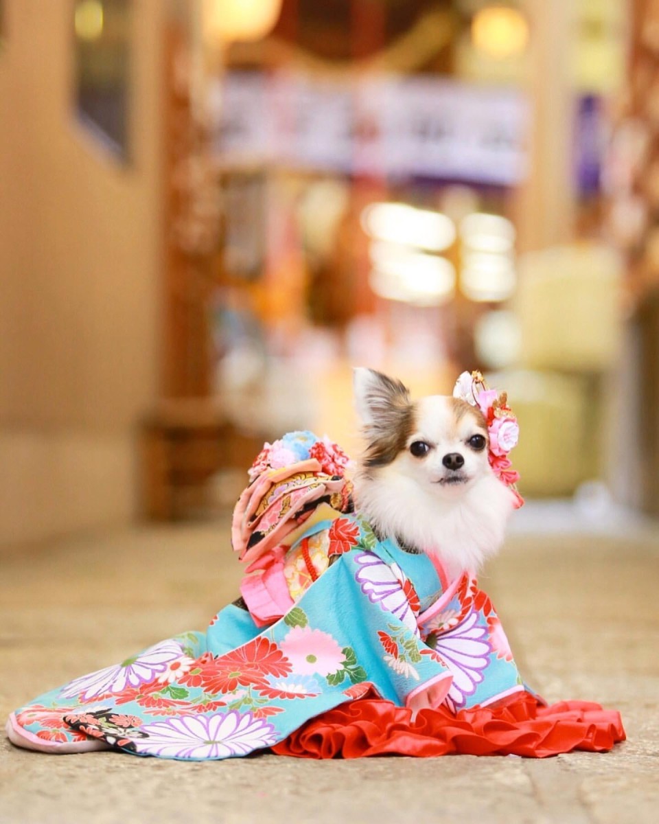 少彦名神社 （すくなひこなじんじゃ）