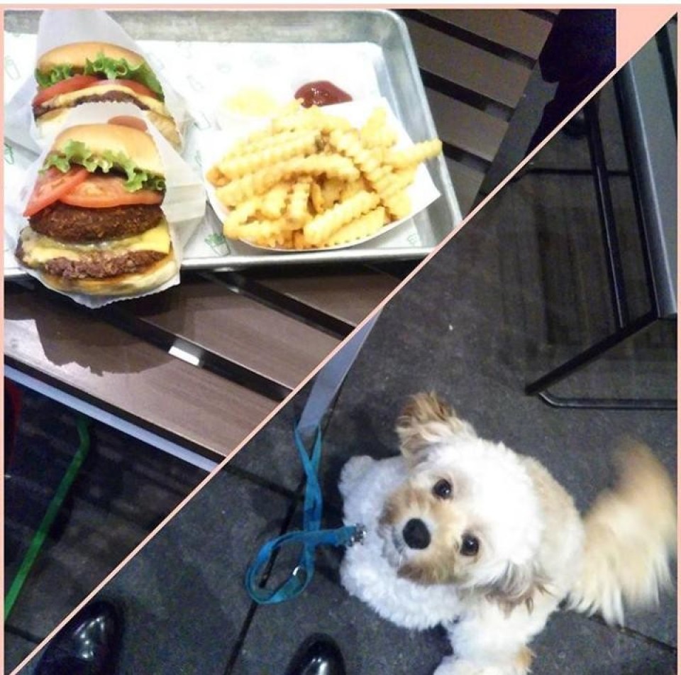 SHAKESHAKE東京国際フォーラム店