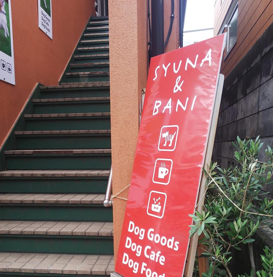 SYUNA & BANI(シュナ バニ) 吉祥寺
