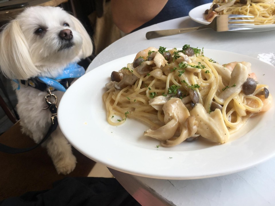 old new cafe （オールドニューカフェ）