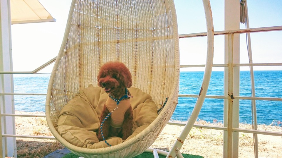 あわじクラフトサーカス