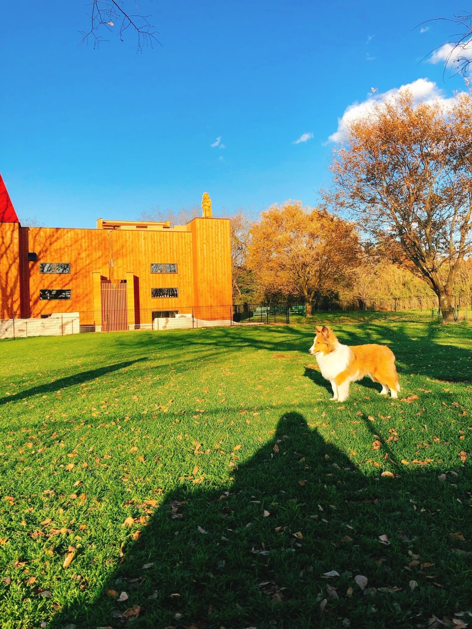 東京ドイツ村　わんちゃんランド