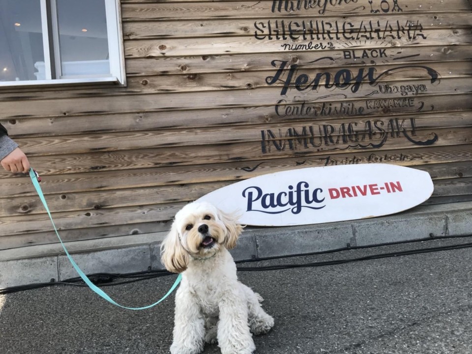 Pacific DRIVE-IN （パシフィック　ドライブイン）