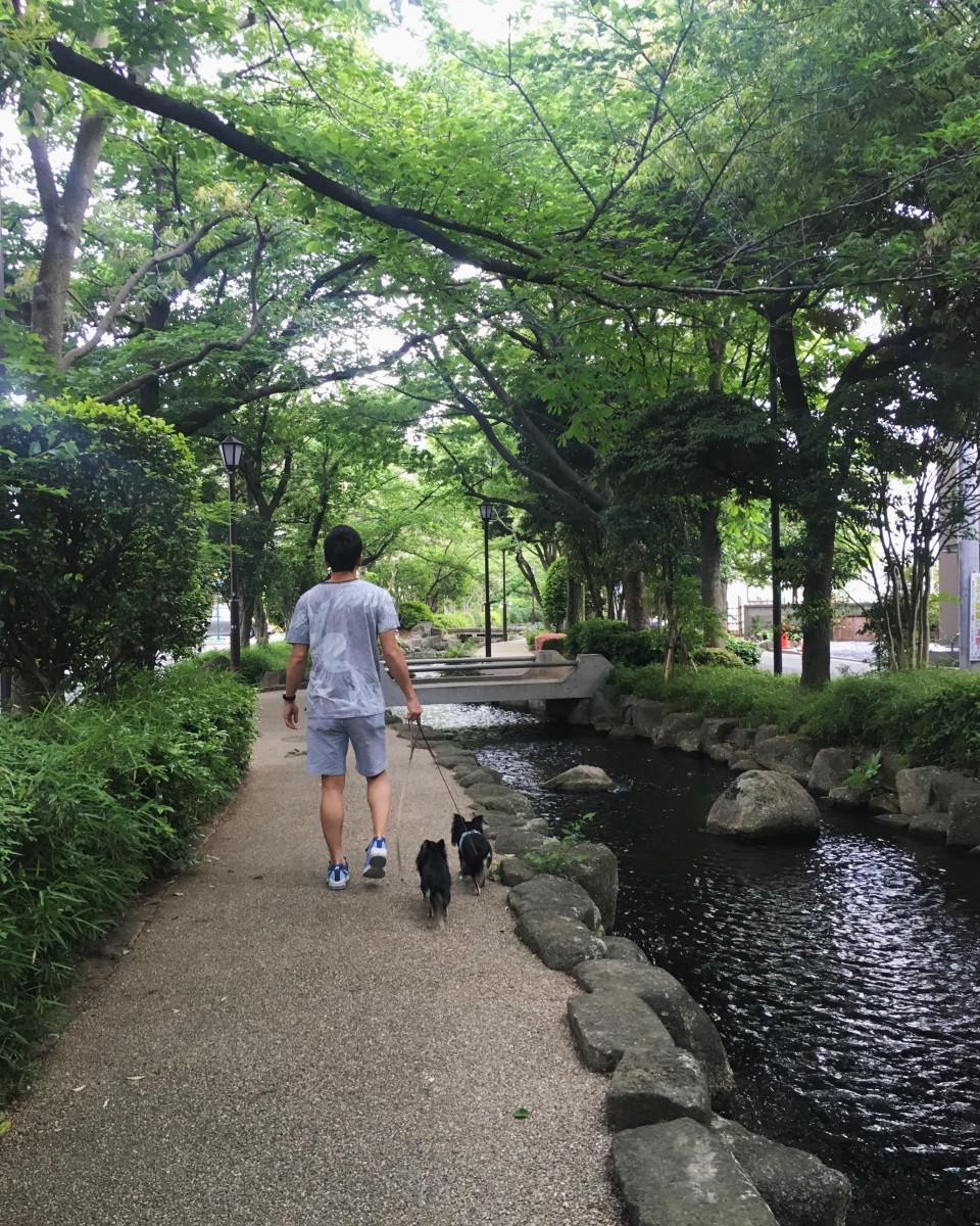 小松川境川親水公園